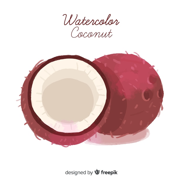 Ilustración de coco de acuarela