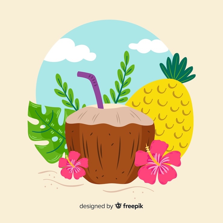 Vector gratuito ilustración de coco dibujada a mano