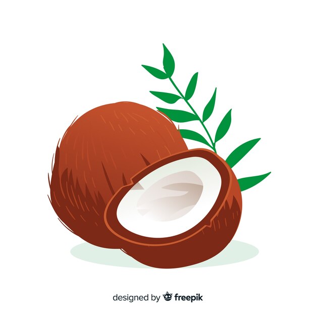Ilustración de coco dibujada a mano