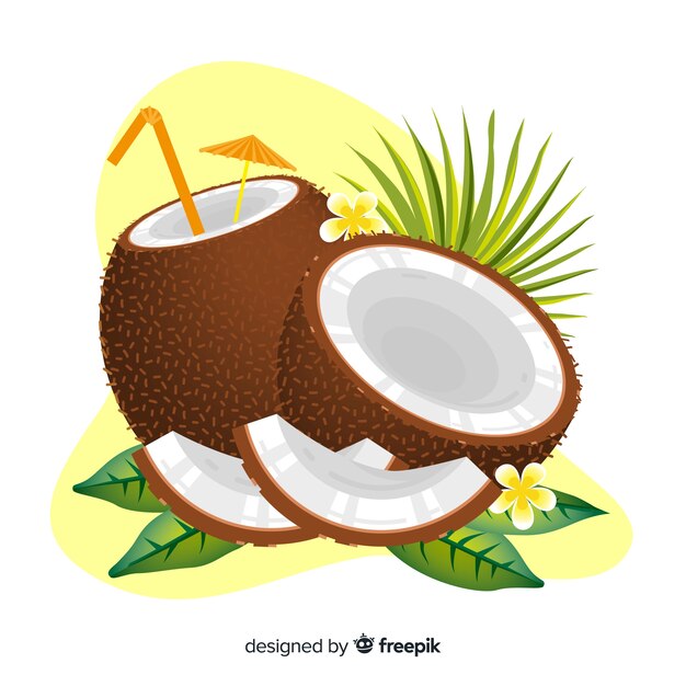 Ilustración de coco dibujada a mano