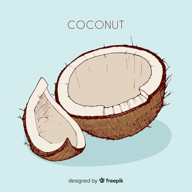 Ilustración coco dibujada a mano