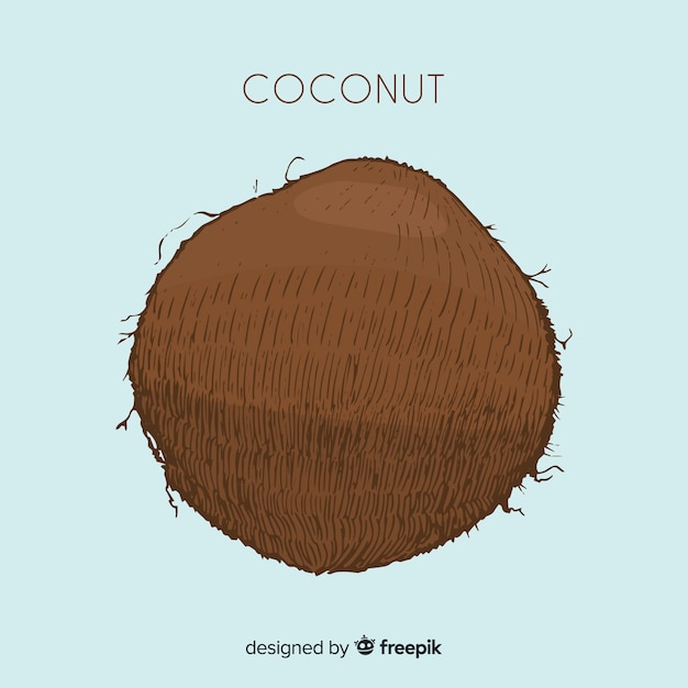 Ilustración coco dibujada a mano