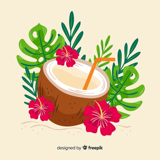 Ilustración de coco dibujado a mano