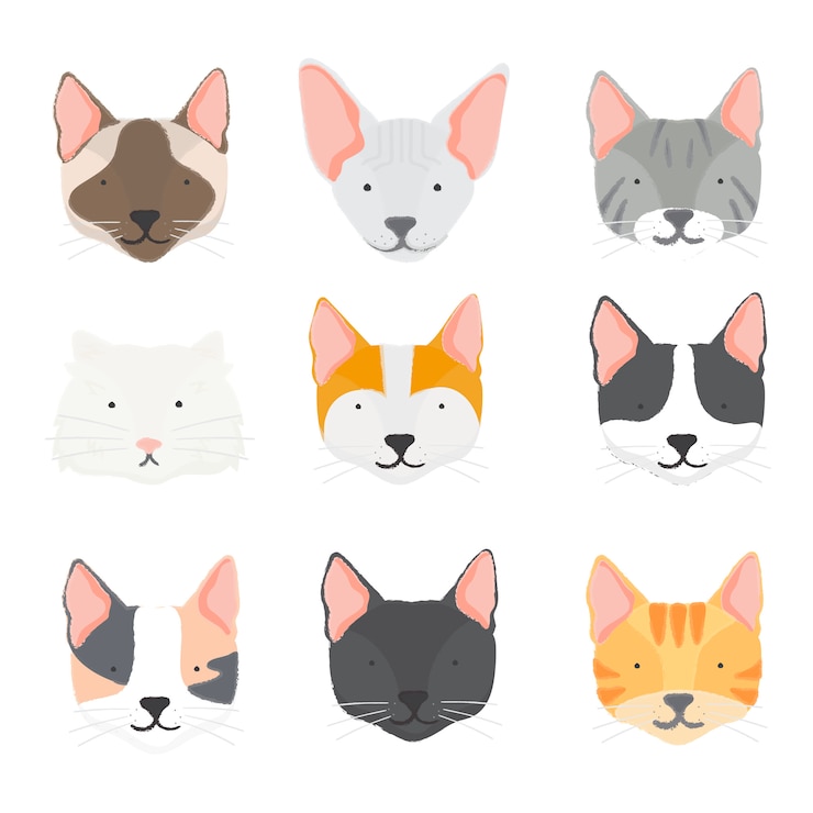 Vector gratuito ilustración de la colección de gatos