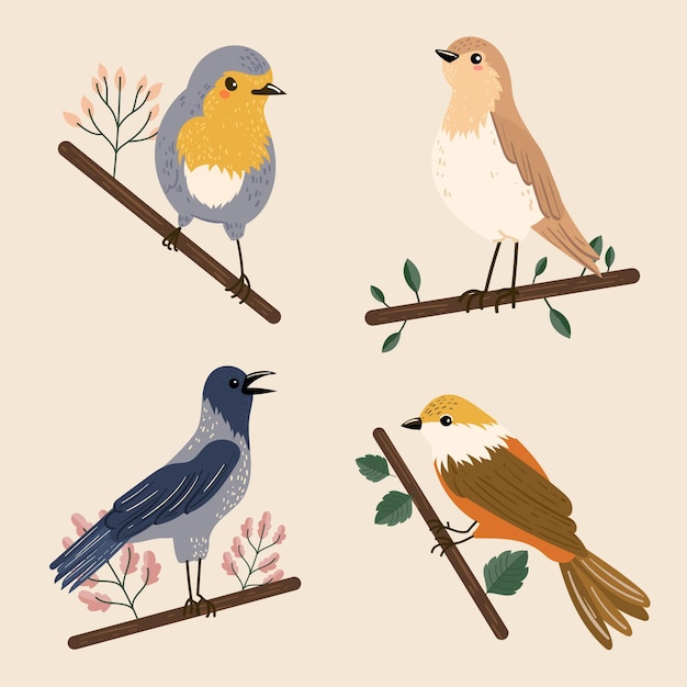 Vector gratuito ilustración de colección de pájaros coloridos