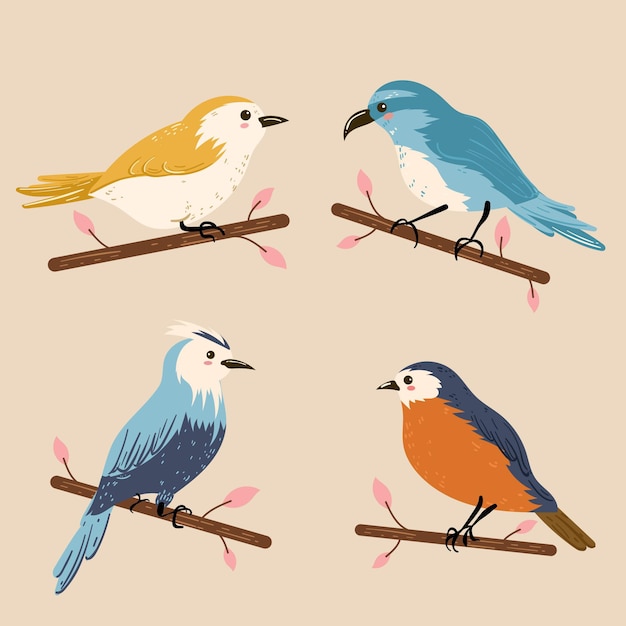 Vector gratuito ilustración de colección de pájaros coloridos