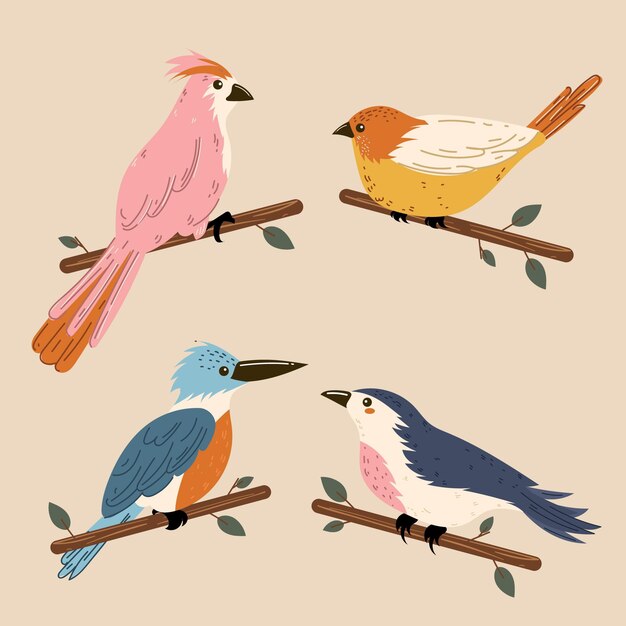 Ilustración de colección de pájaros coloridos