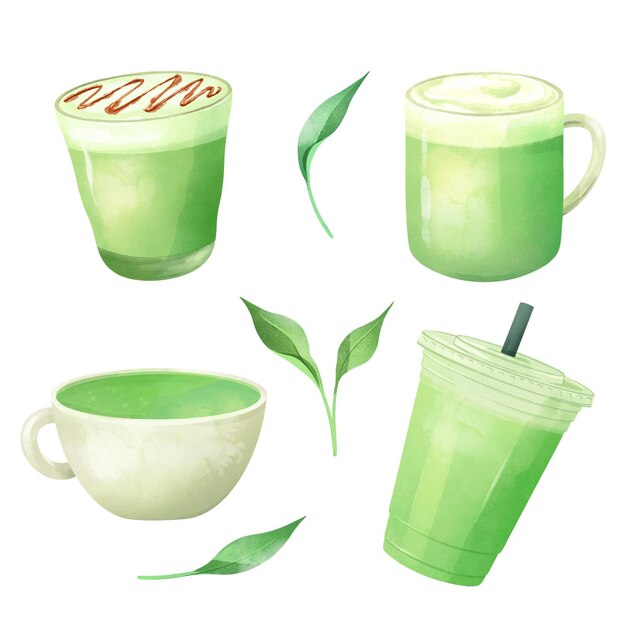 Ilustración de la colección de té Matcha