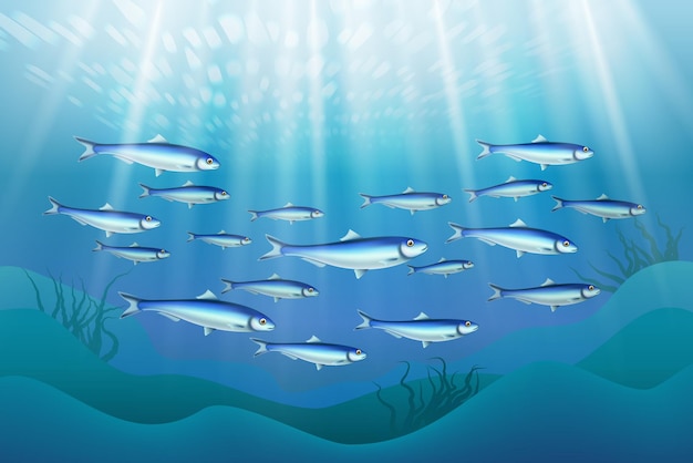 Ilustración de colonia de peces