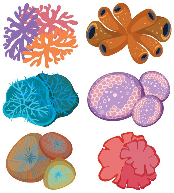 Ilustración colorida de la biodiversidad marina