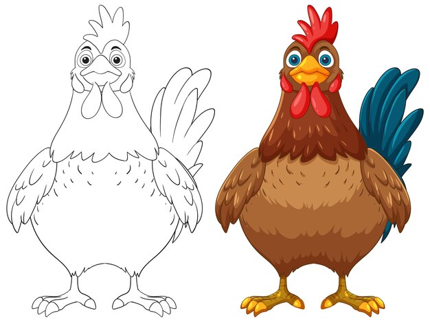 Ilustración colorida del gallo y su contorno