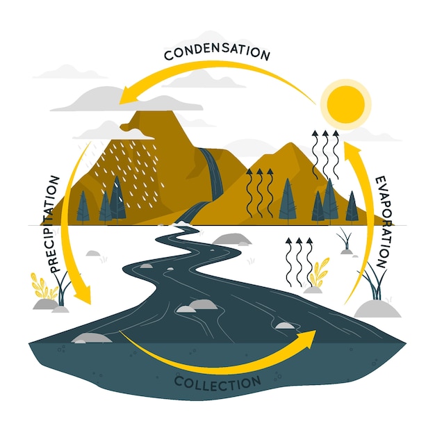 Vector gratuito ilustración del concepto del ciclo del agua