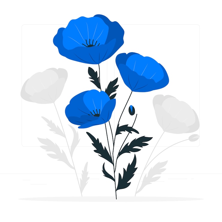 Vector gratuito ilustración del concepto de flor de amapola