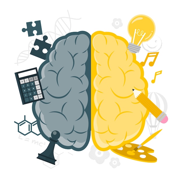 Ilustración del concepto de lados del cerebro