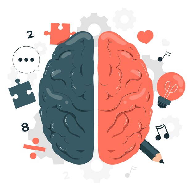 Ilustración del concepto de lados del cerebro