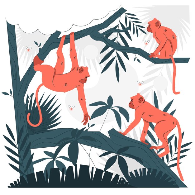 Ilustración del concepto de monos