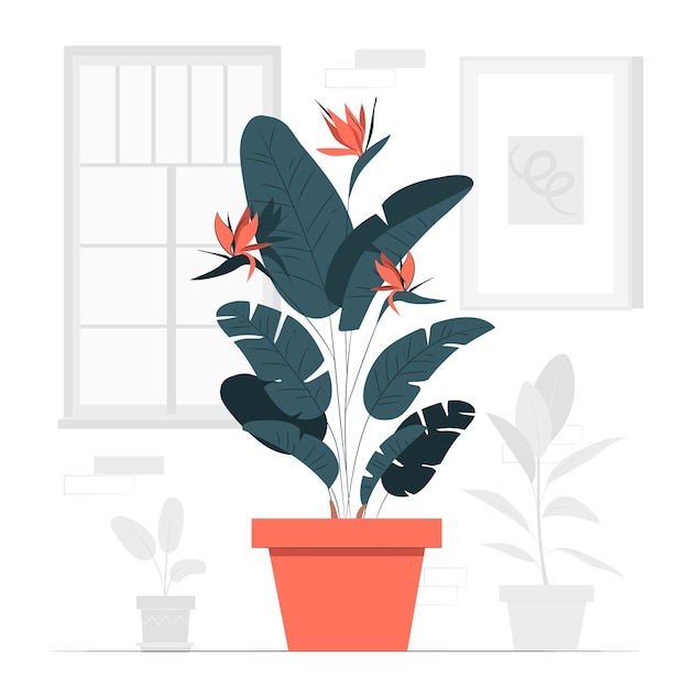 Ilustración del concepto de planta strelitzia