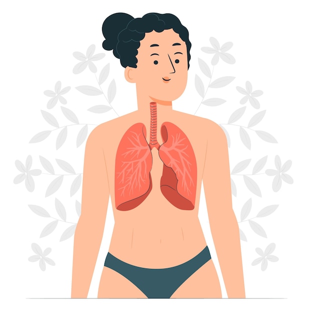 Ilustración del concepto de pulmones