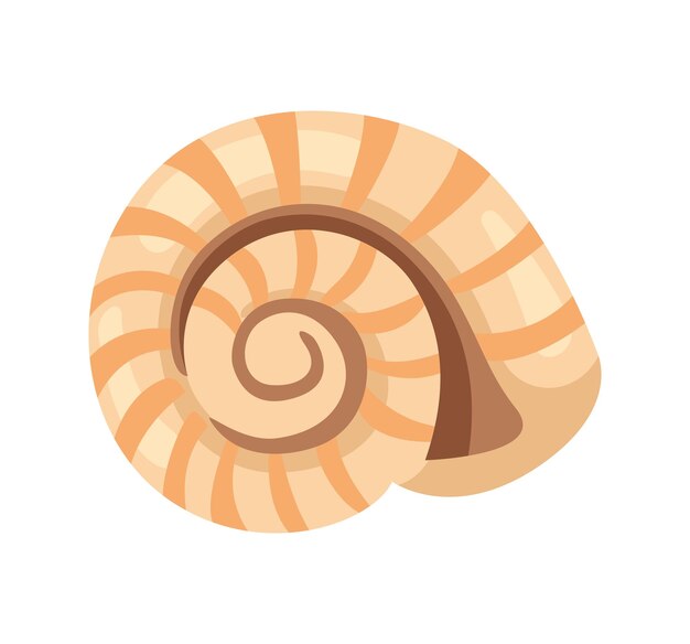 Ilustración de conchas marinas muy bonita