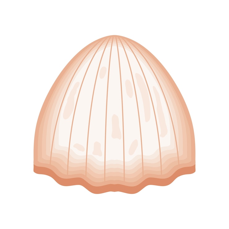 Vector gratuito ilustración de conchas marinas de vida marina aisladas