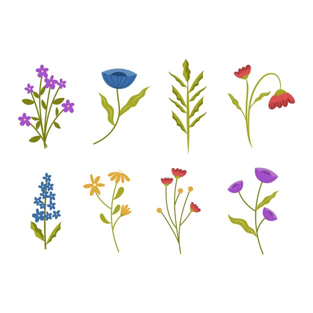 Ilustración Conjunto de elementos florales vectoriales