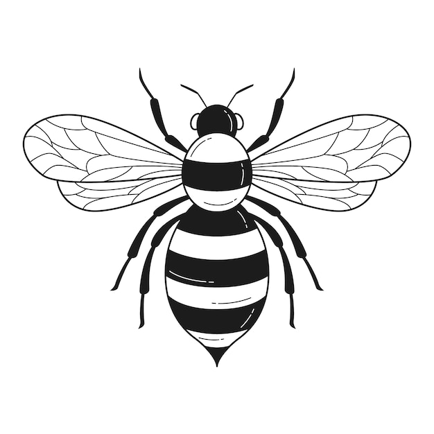 Vector gratuito ilustración de contorno de abeja dibujada a mano