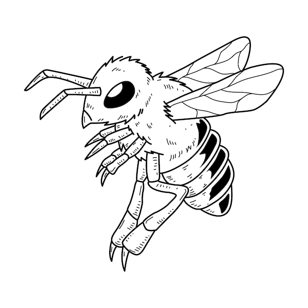 Ilustración del contorno de la abeja dibujada a mano