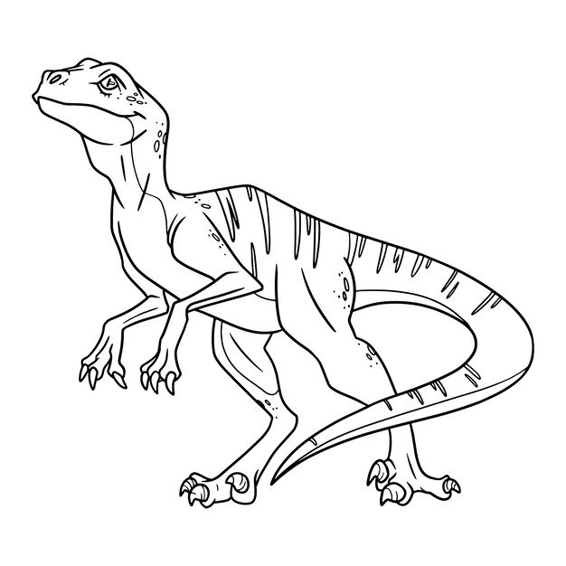Ilustración de contorno animal dibujado a mano