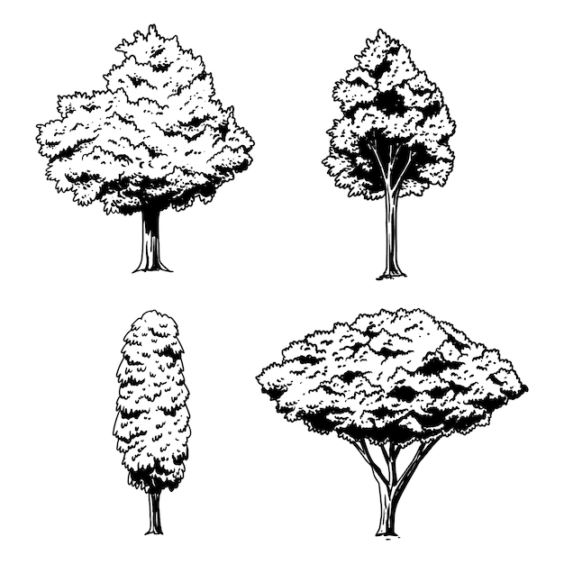 Ilustración de contorno de árboles dibujados a mano