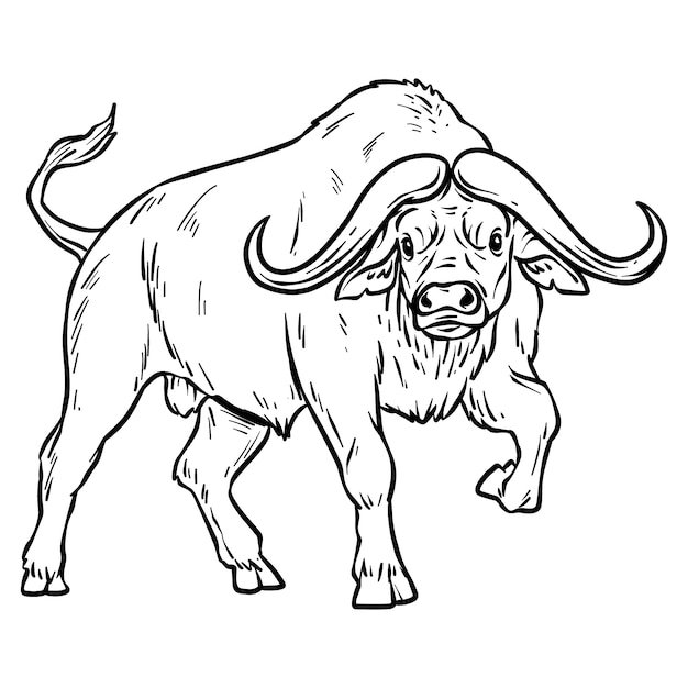 Ilustración de contorno de búfalo dibujado a mano