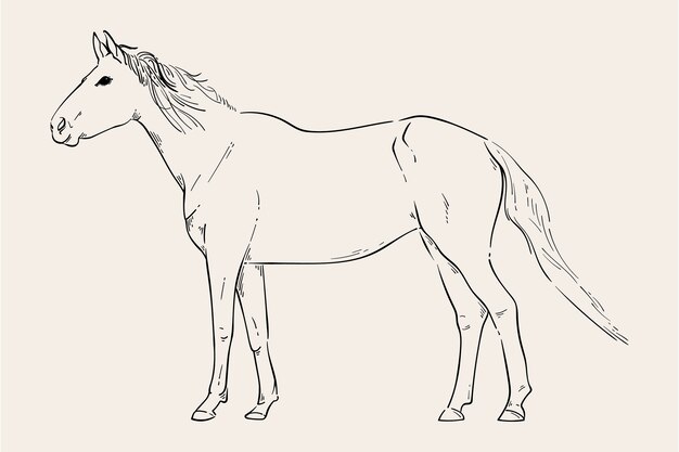 Ilustración de contorno de caballo dibujado a mano