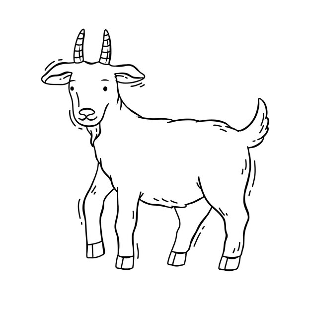 Ilustración de contorno de cabra dibujada a mano