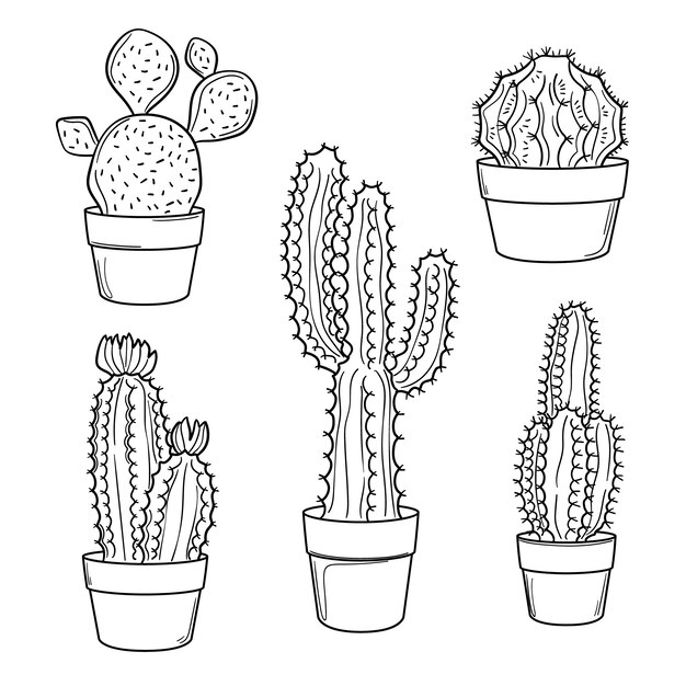 Ilustración de contorno de cactus dibujado a mano