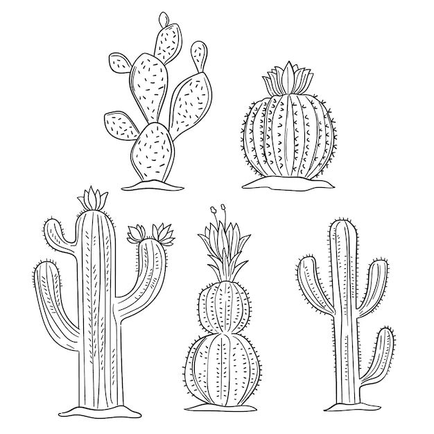 Ilustración de contorno de cactus dibujado a mano