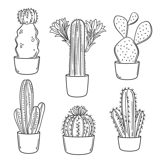 Ilustración de contorno de cactus dibujado a mano