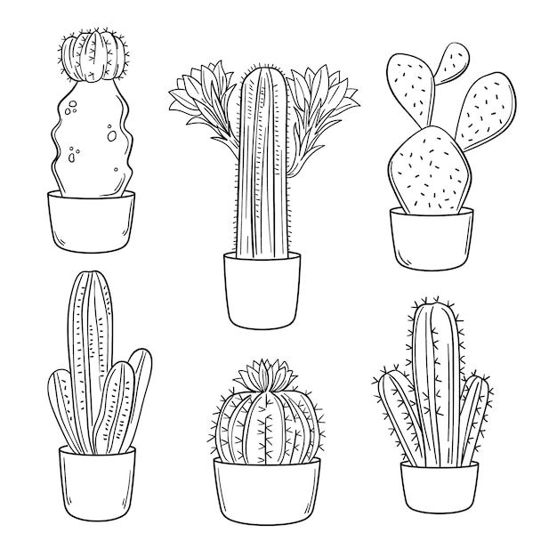 Ilustración de contorno de cactus dibujado a mano