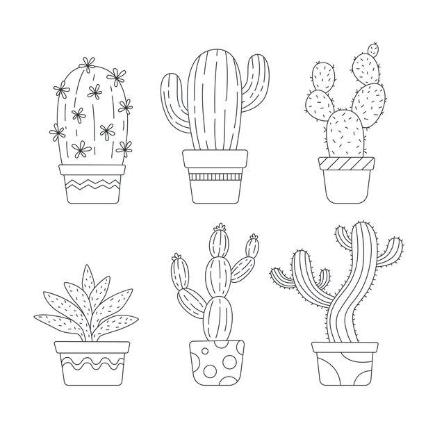 Ilustración de contorno de cactus dibujado a mano