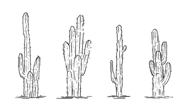 Ilustración de contorno de cactus dibujado a mano