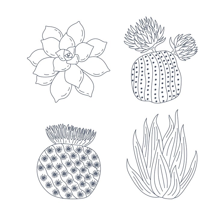 Vector gratuito ilustración de contorno de cactus dibujado a mano