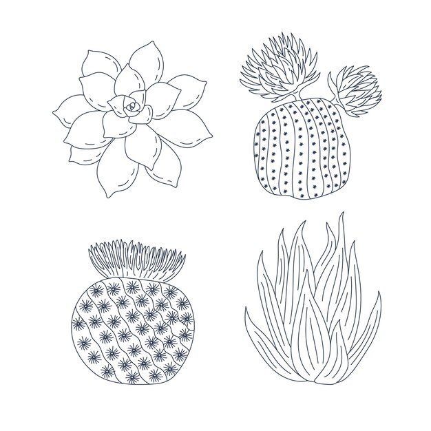 Ilustración de contorno de cactus dibujado a mano