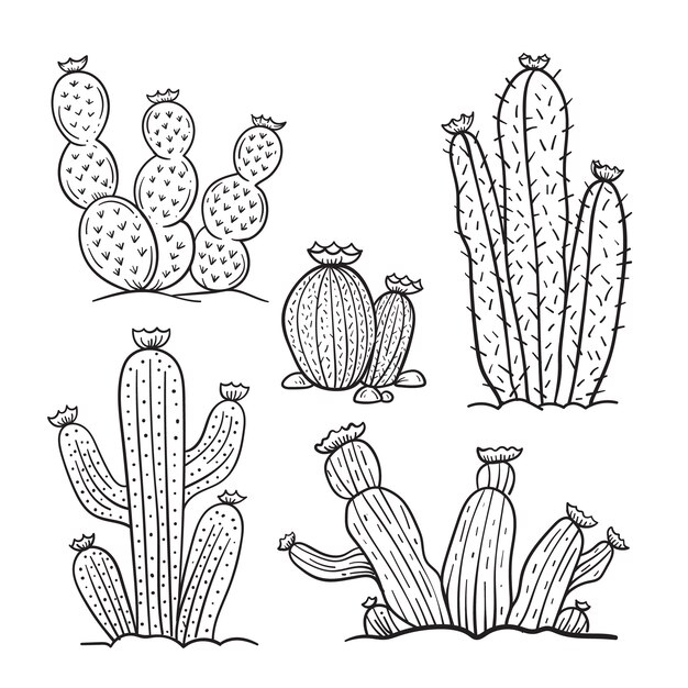 Ilustración de contorno de cactus dibujado a mano