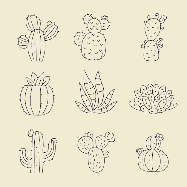 Vector gratuito ilustración de contorno de cactus dibujado a mano