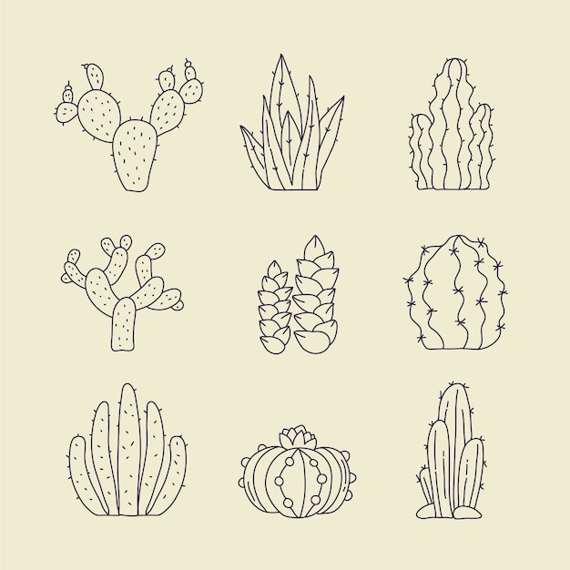 Ilustración de contorno de cactus dibujado a mano