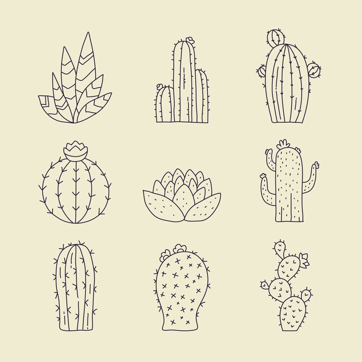 Vector gratuito ilustración de contorno de cactus dibujado a mano