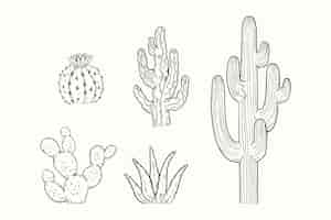 Vector gratuito ilustración de contorno de cactus dibujado a mano