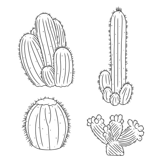 Ilustración de contorno de cactus dibujado a mano