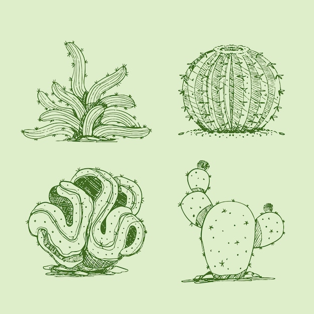 Vector gratuito ilustración de contorno de cactus dibujado a mano