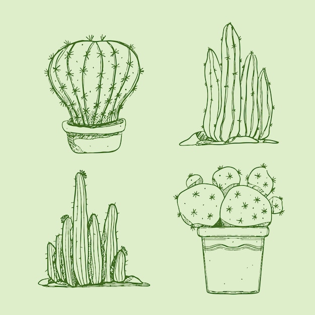 Ilustración de contorno de cactus dibujado a mano
