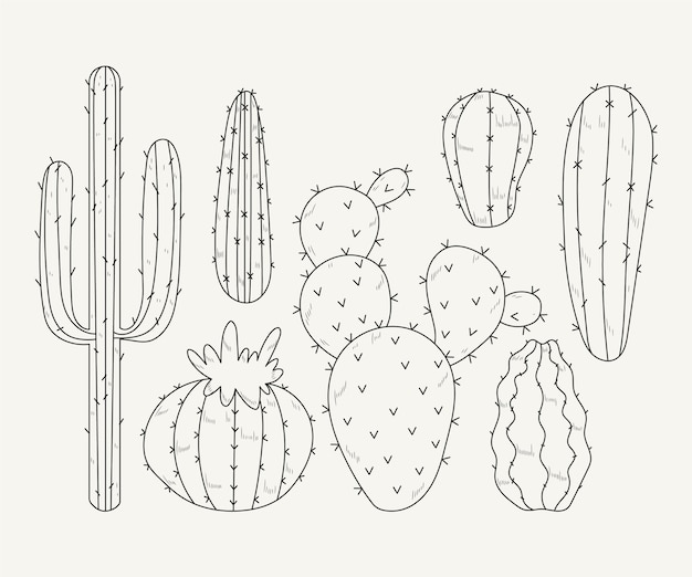 Ilustración de contorno de cactus dibujado a mano