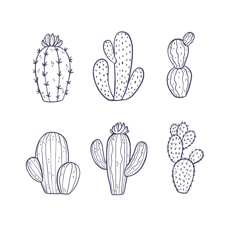 Vector gratuito ilustración de contorno de cactus dibujado a mano